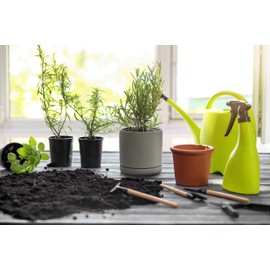 D'vine Dev Ceramic Planter Pot with Drainage Hole and Saucer, Indoor Cylinder Round Flower Pot, 4.6 Inch, Grey, 94-O-B-3