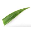 Malu Wilz Aloe Vera Cleansing Gel