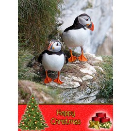 Puffin Christmas Card 'Happy Christmas' - Special Xmas Card for Him Her Kids Male Female