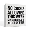 QTGTIR Wooden 'No Crisis Allowed This Week' Sign, Rustic Elegant