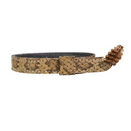 5/8" (0.625") Real Prairie Rattlesnake Hat Band with Rattle: Medium