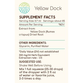 Yellow Dock B60 Alcohol-Free Herbal Extract Tincture, Concentrated Liquid Drops Natural Yellow Dock (Rumex Crispus) Dried Root (2 fl oz)