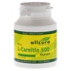 L-Carnitine Capsules Pack of 500, 60