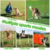 Dog Agility Course Backyard Set, Dog Agility Equipment, Pet obstacle