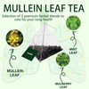 Mullein Tea Bags for Lungs - 20 Teabags (2.47oz/70g), 100%