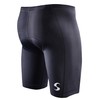 Synergy Men's Tri Shorts (Small, Black)