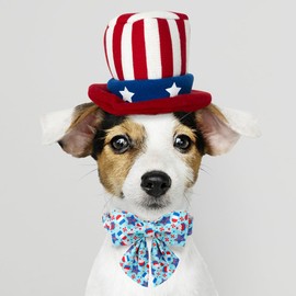 Maca Bates American Flag 4th of July Dog Collar with Sailor Bow 4 of 7 for Dogs Tie Adjustable Durable Icecream Patriotic USA Collars Summer Independence Day for Small Medium Large XL Boy Girl Puppy