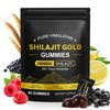 Shilajit Gummies for Men & Women, Enhanced Strength Gummies for