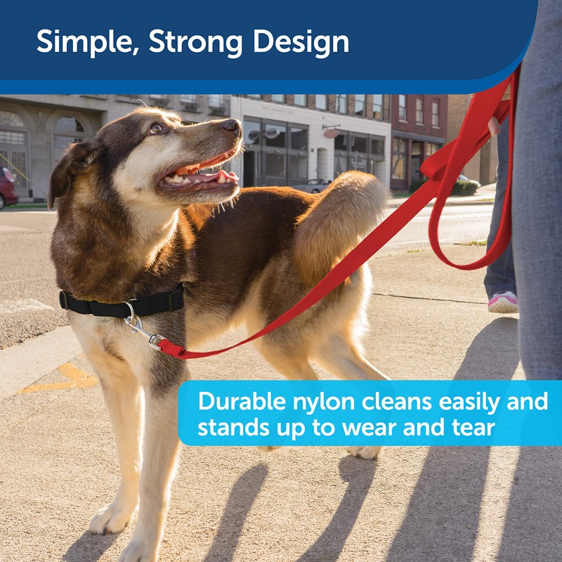 PetSafe Nylon Leash - Chew-Resistant Cat & Dog Behavioral Training