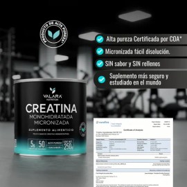 Creatina Monohidratada Micronizada en Polvo Valara | Alta Pureza Certificada | Con Scoop Dosificador - Creatine Monohydrate Pre Entreno - Platinum - Creatina Mujer / Hombre - Gym - 250g - 50 Porciones