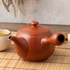 Tokoname Ware tk032 Teapot, Takeharu, Strained, 19.3 fl oz (540