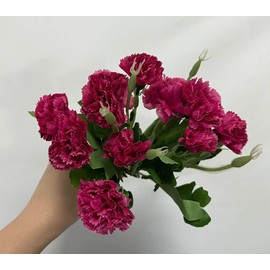Rikyo 4 Bunches Bouquet of Artificial Silk Flower Carnations,12" Bouquet and Leaf for Home Party,Bridal Wedding Holding Flowers Festival Decoration with 10 Per Bunch Flower(Violet)