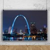 Pnylzzyxh St. Louis Arch Backdrop Missouri American World Famous Landmark