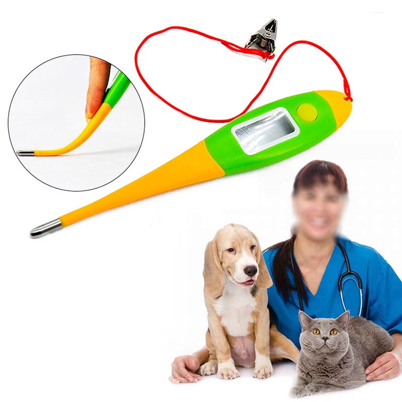Pets Electronic Thermometer Dog Digital Thermometer Veterinary Supplies