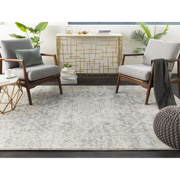 Janine Gray and Beige Updated Traditional Area Rug 7'10" x 10'3