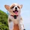 4K Cat Collar Camera IPS Touch Screen HD WiFi Pet