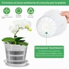 Dwitkul 5 Pezzi Vaso Trasparente per Orchidee, Vasi per Orchidee