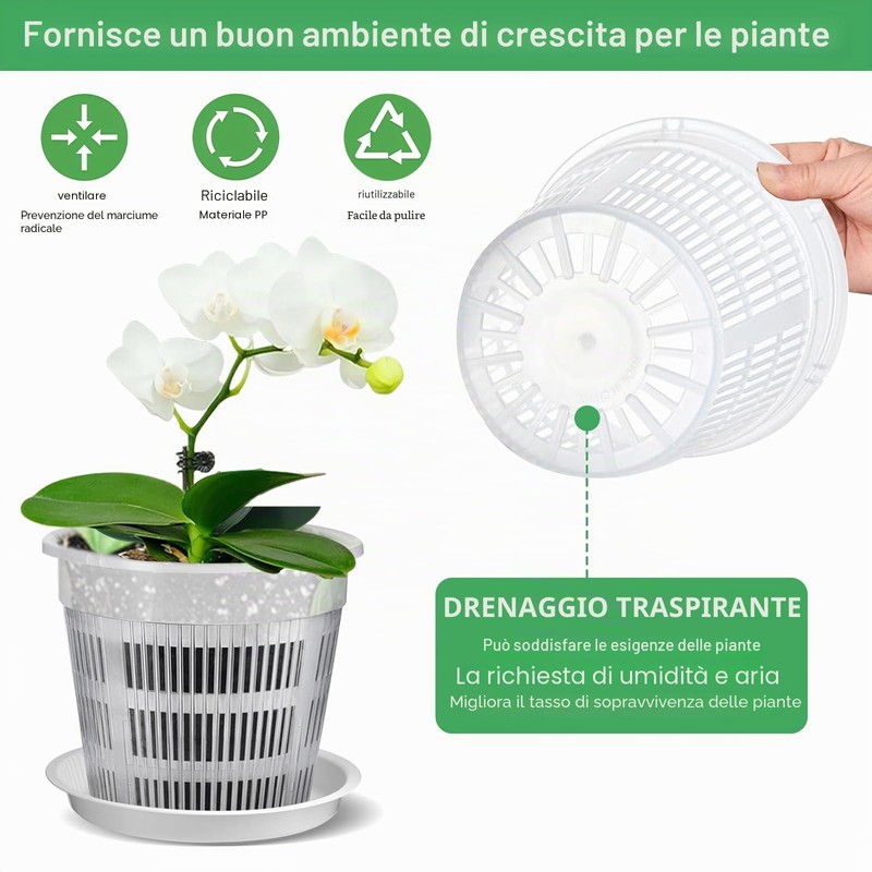 Dwitkul 5 Pezzi Vaso Trasparente per Orchidee, Vasi per Orchidee