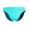 Speedo Men's Print Beachstar Brief 2" Brief, Arctic Glass, 38