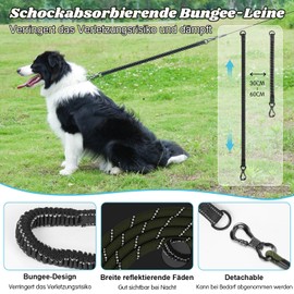 Aystkniet Bungee Recall Lead for Dogs, 3 m, 5 m, 9 m, 10 m, 15 m, 20 m, 30 m, Shock-Absorbing Dog Lead with Padded Handle, Reflective Threads, Lockable Hook for Medium Large Dogs