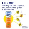 Terro 1 Lb. Ant Killer Dust - Fire Ants, Roaches,