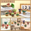 Dennty Wool Felt Kit, Succulent Needle Felt Set of 9,