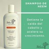 Shampoo Neem anticaida 350ml Tonico capilar ortiga 60ml