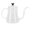 Glass Coffee Pot Swan Neck Thin Mouth Kettle HandMade Coffee