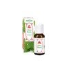 Bergland China Mint Oil 20 ml