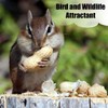 Old Potters Wildlife in-Shell Peanuts for Birds, Squirrels, and Wildlife.