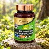 Zoone Eye Vitamin And Mineral Supplement 90 Porciones