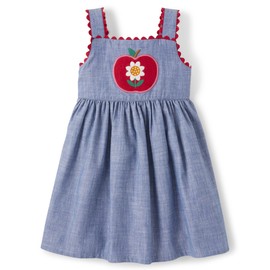 Gymboree girls Toddler Embroidered Sleeveless Skirtall Jumpers,Apple Chambray,8