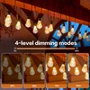 BYIZO Outdoor String Lights, 66FT 27 LED Iridescent Holographic Bulbs,