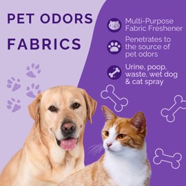 No Scent Carpet Upholstery & Fabric Furniture Spray Spot Cleaner for Wet Dog Smell, Cat Spray, Pet Odor, Urine, Poop & Secretions (2 Fl Oz / 59 mL)