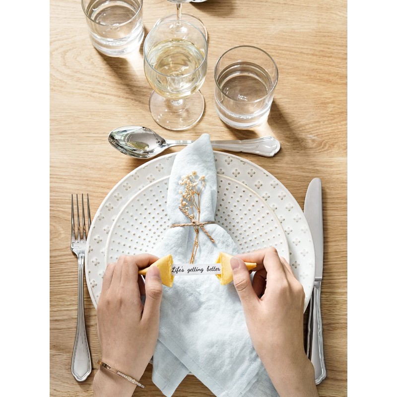 LE TAUCI Dinner Plates 10 Inch, Ceramic Dish Set for