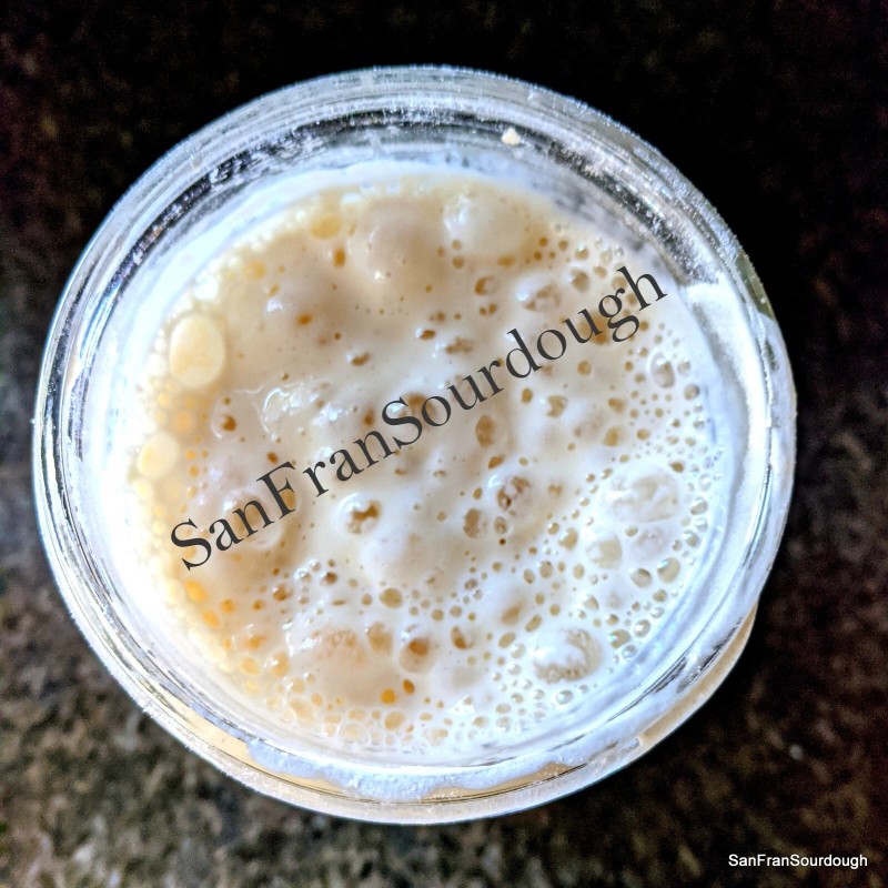 SanFranSourdough California SOUR STARTER tangy active strong Sourdough bread Organic