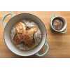 Great Grandmas EASY Sourdough Starter Heritage San Francisco - Live