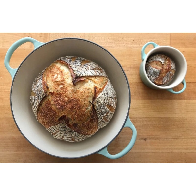 Great Grandmas EASY Sourdough Starter Heritage San Francisco - Live