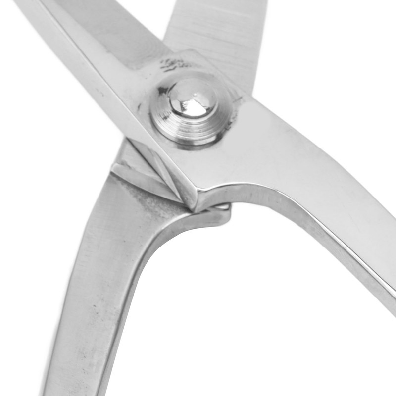 Bonsai Scissors Stainless Steel Leaf Bud Scissors Branch Cuttings Bonsai