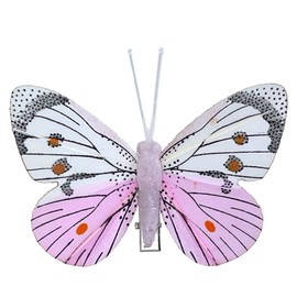 MIK funshopping Colourful Butterfly Clip On Decoration (10 Piece Set, Pale Pink/White)