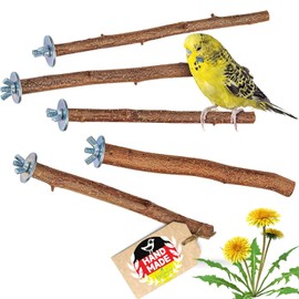 5 wonderful natural wooden perches for birds such as budgies, cockatiels, canaries, agapornids, important bird accessory in the bird cage