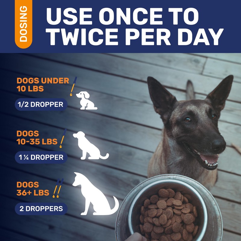 Natural Antibiotics for Dogs for Allergies, Infections, Coughs, Digestive Moments