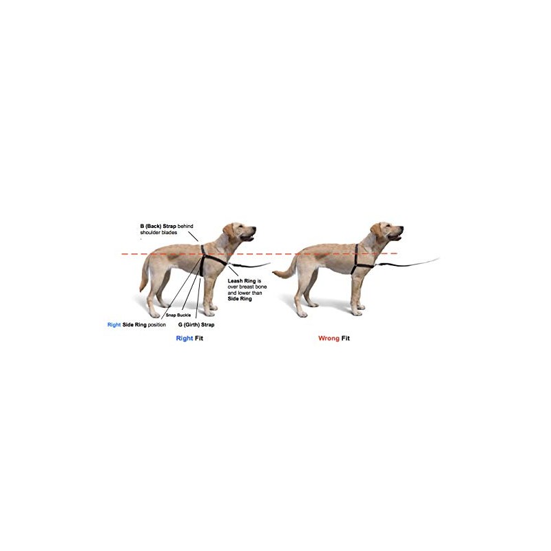 Softouch Concepts The Original Sense-ation No-Pull Dog Training Harness (Black,