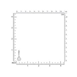 Silvershake 8mm Natural Round Shape Moonstone White Gold Plated 925 Sterling Silver Leverback Dangle Earrings