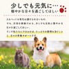 ogaland Krill Oil for Dogs, 15.2 oz (450 mg) x