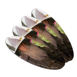 THE LORD OF THE RINGS Gandalf the Grey Character Double-Sided Oval Nail File Emery Board Set 4 Pack