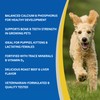 Doc Roy’s Healthy Bones Calcium Phosphorus Supplement Vitamin for Puppies,