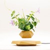KIYOMING Levitating Plant Pot Hexagon Floating Air Bonsai Pot Suspension