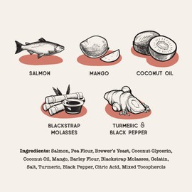 Dog Treat Naturals Salmon & Mango Superfood Sticks for Dogs | All-Natural Premium Training Dog Treats | Contains Turmeric for Joint Health | Made with Real Salmon & Mango | Made in USA | 10 Ounces