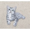 Gray Tabby Cat, Kitten, Pets, Animals, Embroidered, Iron on Patch